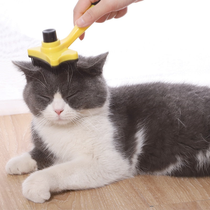 Pet Cleaning Products Dog Comb Bone Push Plate Cat Hair Brush Grooming Tools Beauty Suppliers For Small Puppy